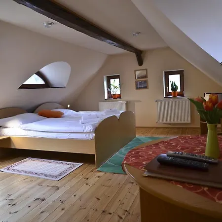 Hotel U Kozicky Teplice