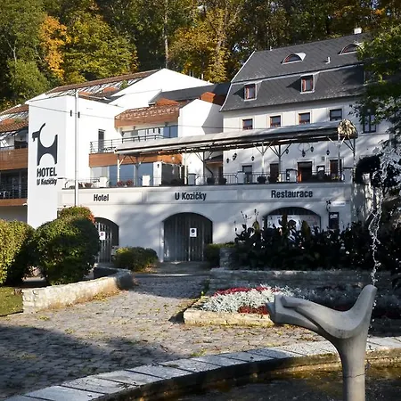 Hotel U Kozicky Hotel