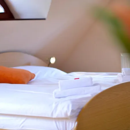 Hotel Hotel U Kozicky
