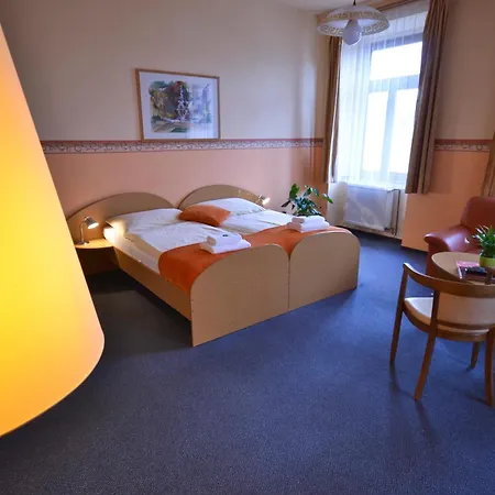 Hotel U Kozicky 4*