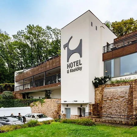 Hotel Hotel U Kozicky Teplice