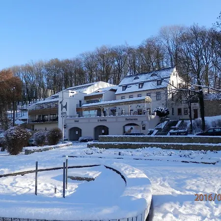 Hotel U Kozicky 4*