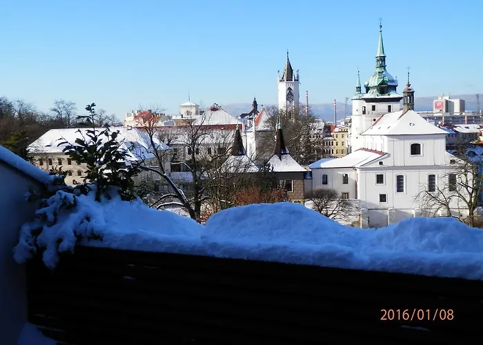U Kozicky Hotel