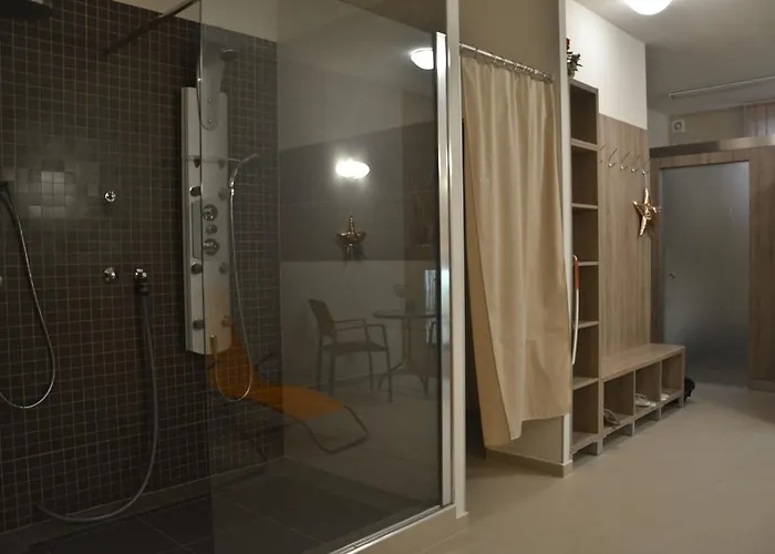 Hotel U Kozicky 4*